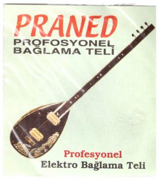 Baglama Strings Praned (elektro)